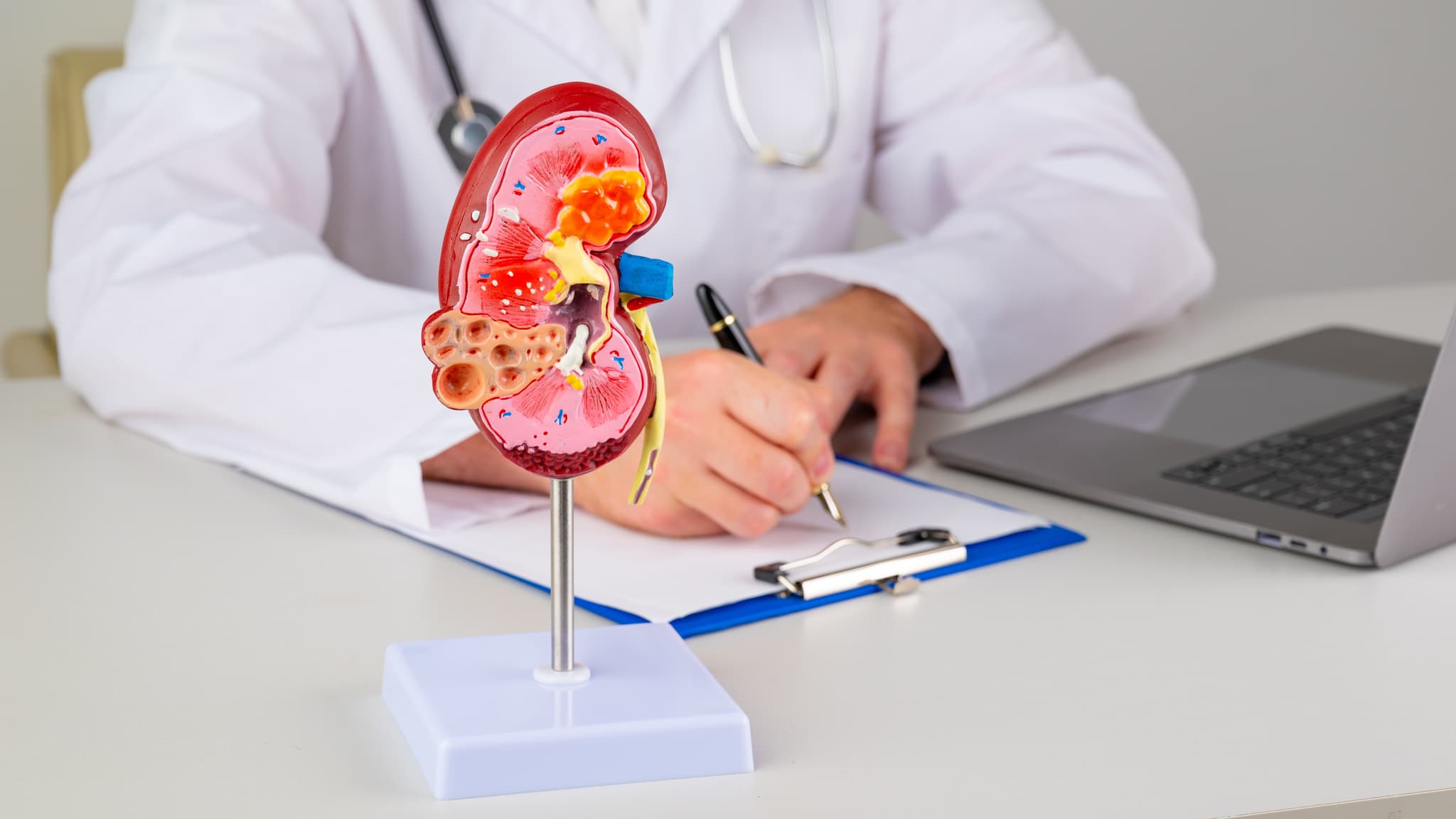 Recognising glomerulonephritis and kidney inflammation in adults ...