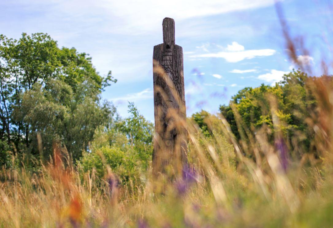 Holzskulptur im Feld mit Bäumen im Hintergrund.